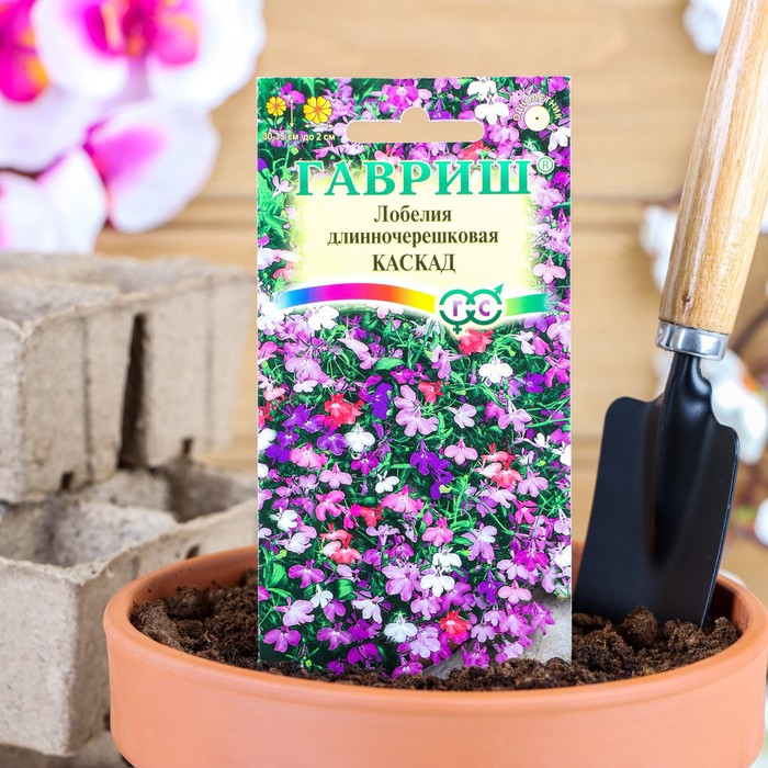 

Семена цветов Лобелия "Каскад", ампельная, О, смесь 0,01 г (4 шт.)