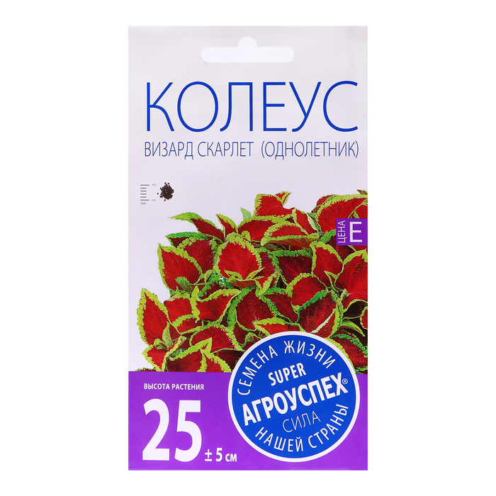 

Семена цветов Колеус "Визард Скарлет", 10 шт (2 шт.)