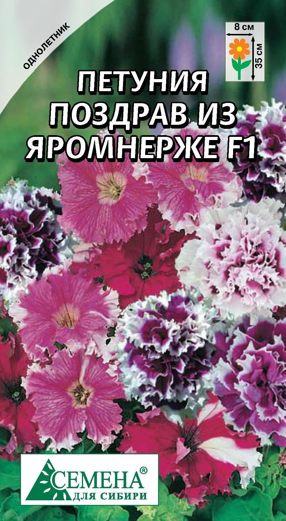 

Семена Петуния Семена для Сибири Поздрав из Яромнерже F1 10 шт