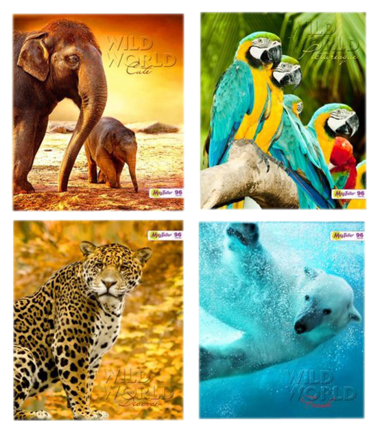 

Тетрадь общая в клетку Mag Taller МТ31/4, 96 л., 1 шт.