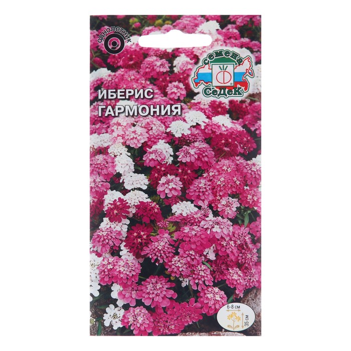 

Семена цветов Иберис "Гармония", Евро , 0,1 г (2 шт.)