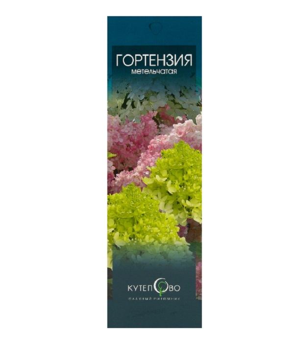 

Саженец Кутепово Гортензия метельчатая Юник