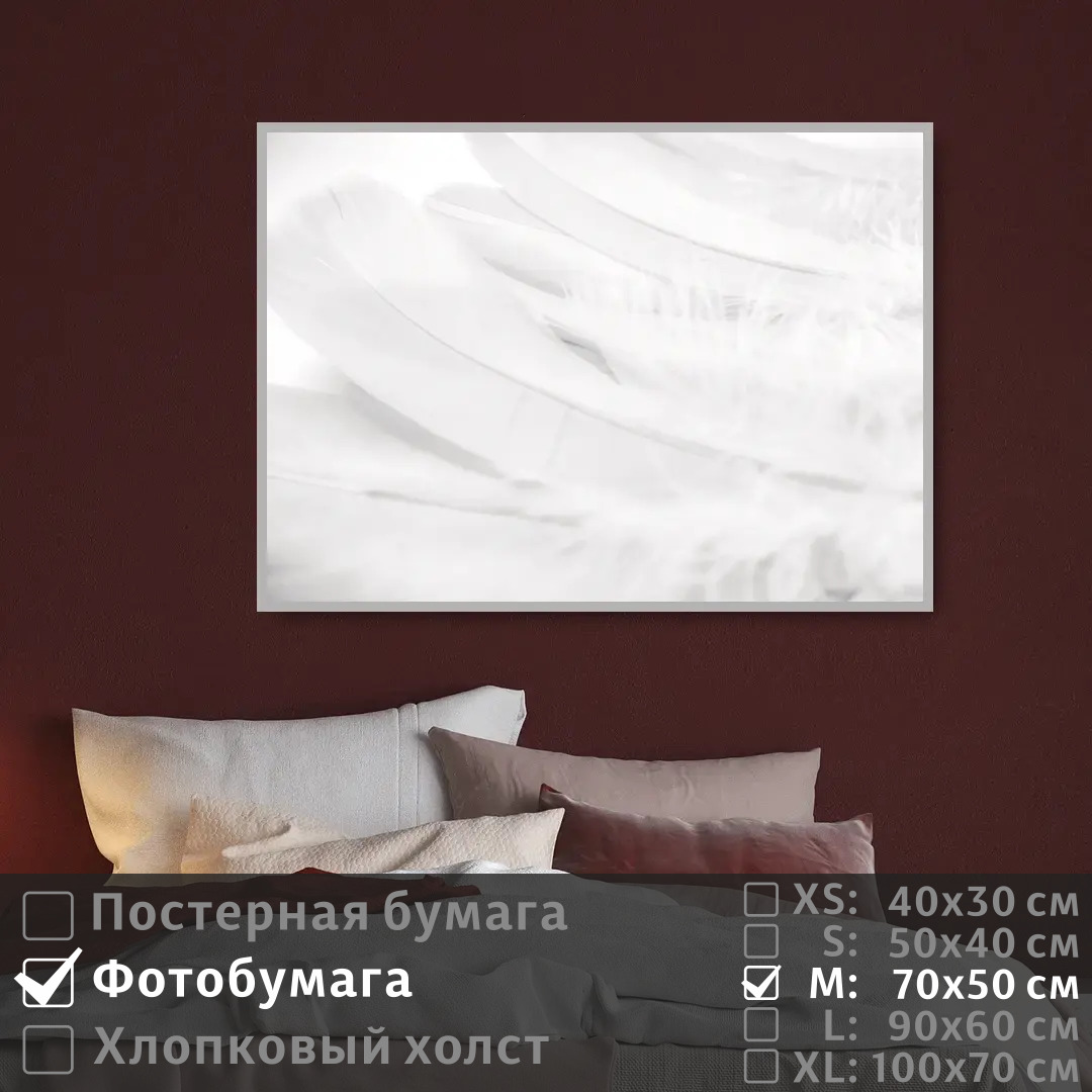 

Постер на фотобумаге ПолиЦентр Перо в белых тонах 70х50 см, ПероВБелыхТонах