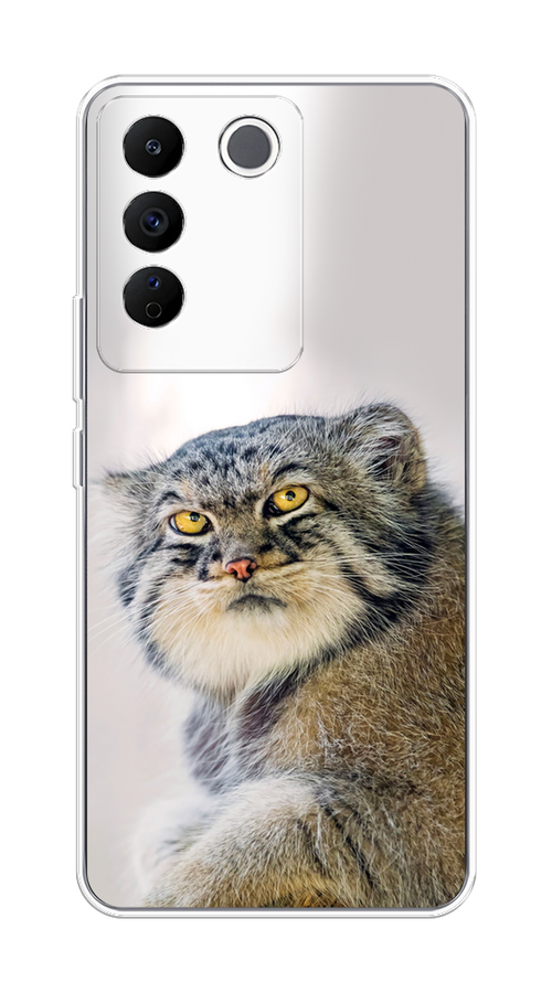 

Чехол на Vivo V27e "Кот манул 1", Серый;белый;желтый, 268350-1
