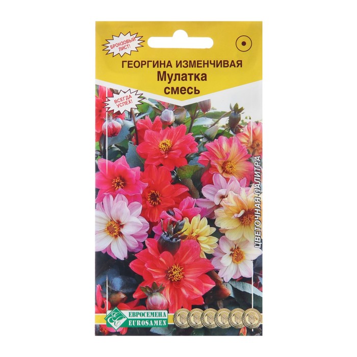 

Семена цветов Георгина изменчивая "Мулатка" смесь, 20 шт (2 шт.)
