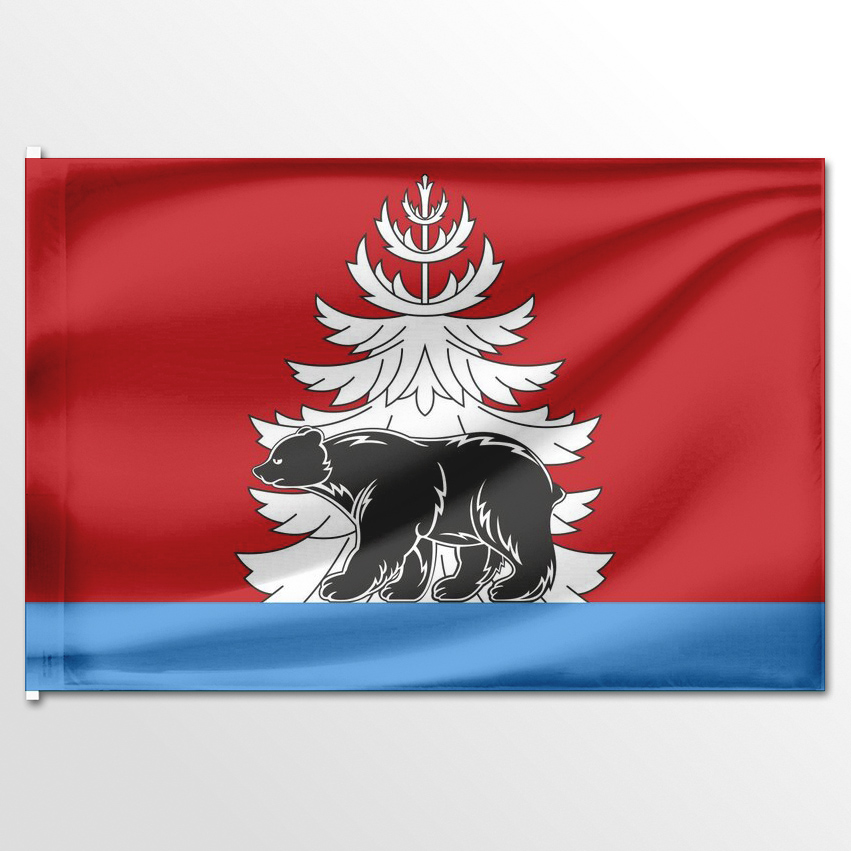 

Флаг ЦТП ФЕНИКС Зиминского района 135x90 см, 6563-135x90