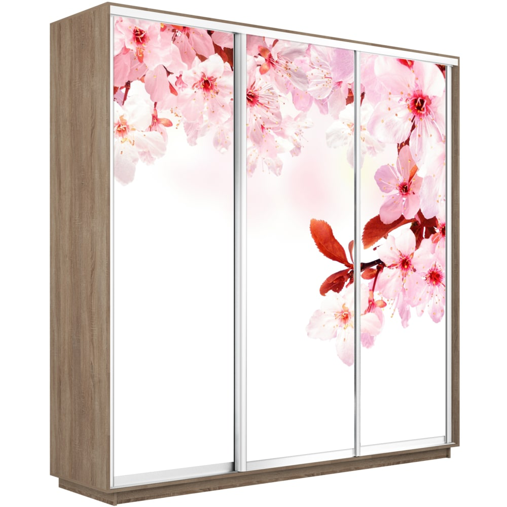 

Шкаф-купе Е1 Экспресс Фото трио Сонома 180-220-60 SAKURA