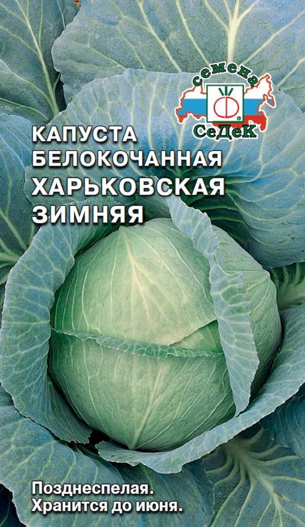 Семена капуста белокочанная СеДеК Харьковская зимняя 1 уп.