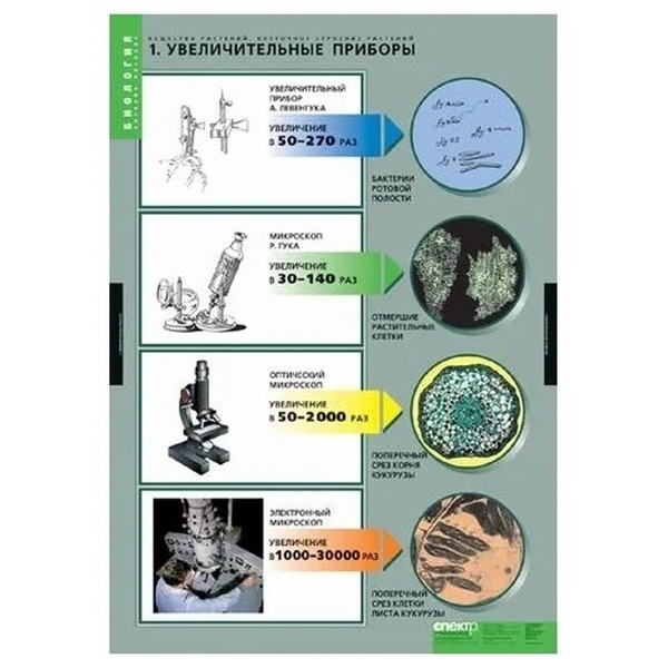 Комплект таблиц «Вещества растений. Клеточное строение» (12 плакатов)