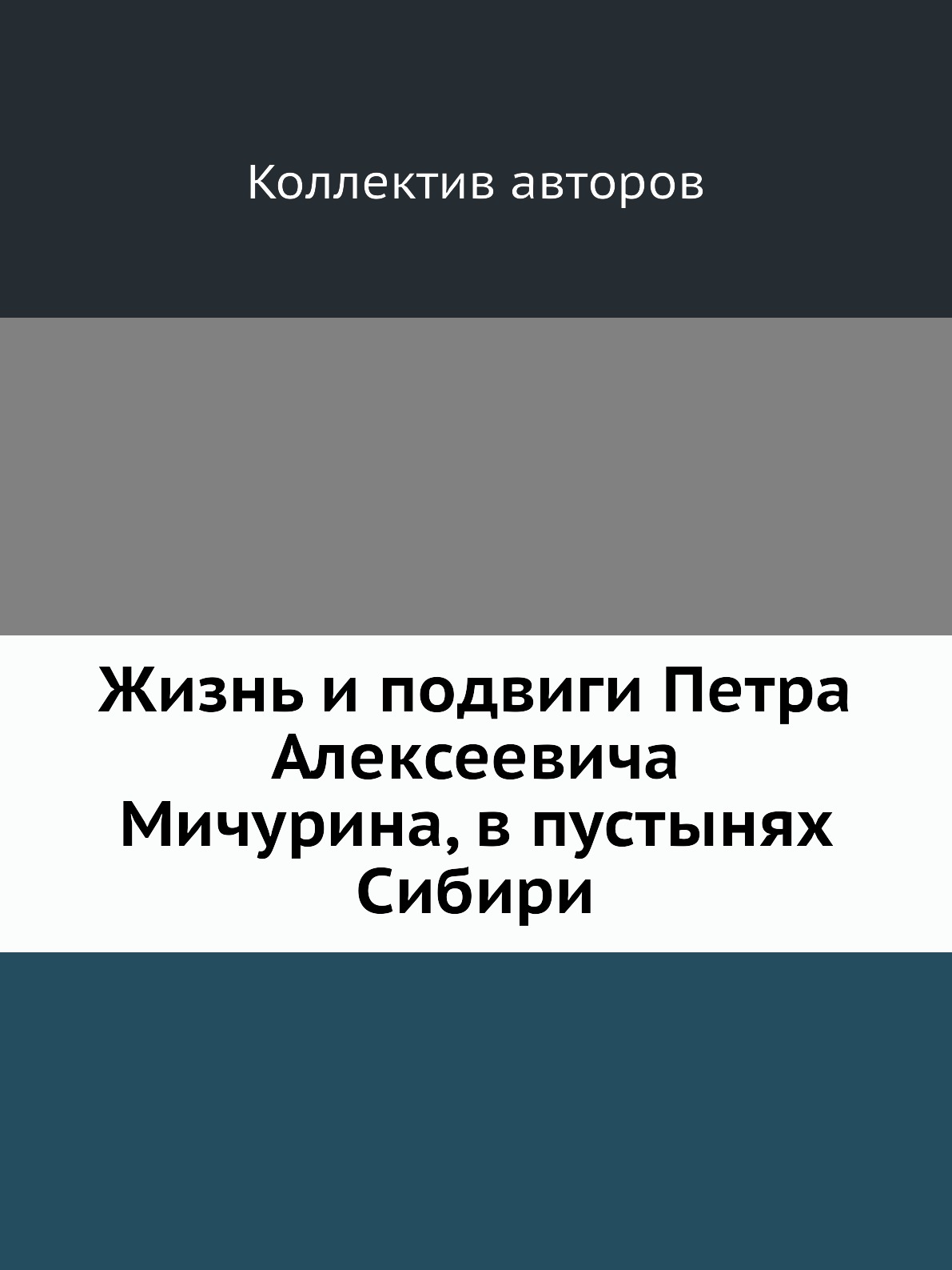 

Жизнь и подвиги Петра Алексеевича Мичурина, в пустынях Сибири