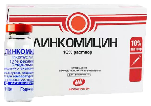 

Препарат для животных Линкомицин раствор для инъекций 10 %, 10 мл