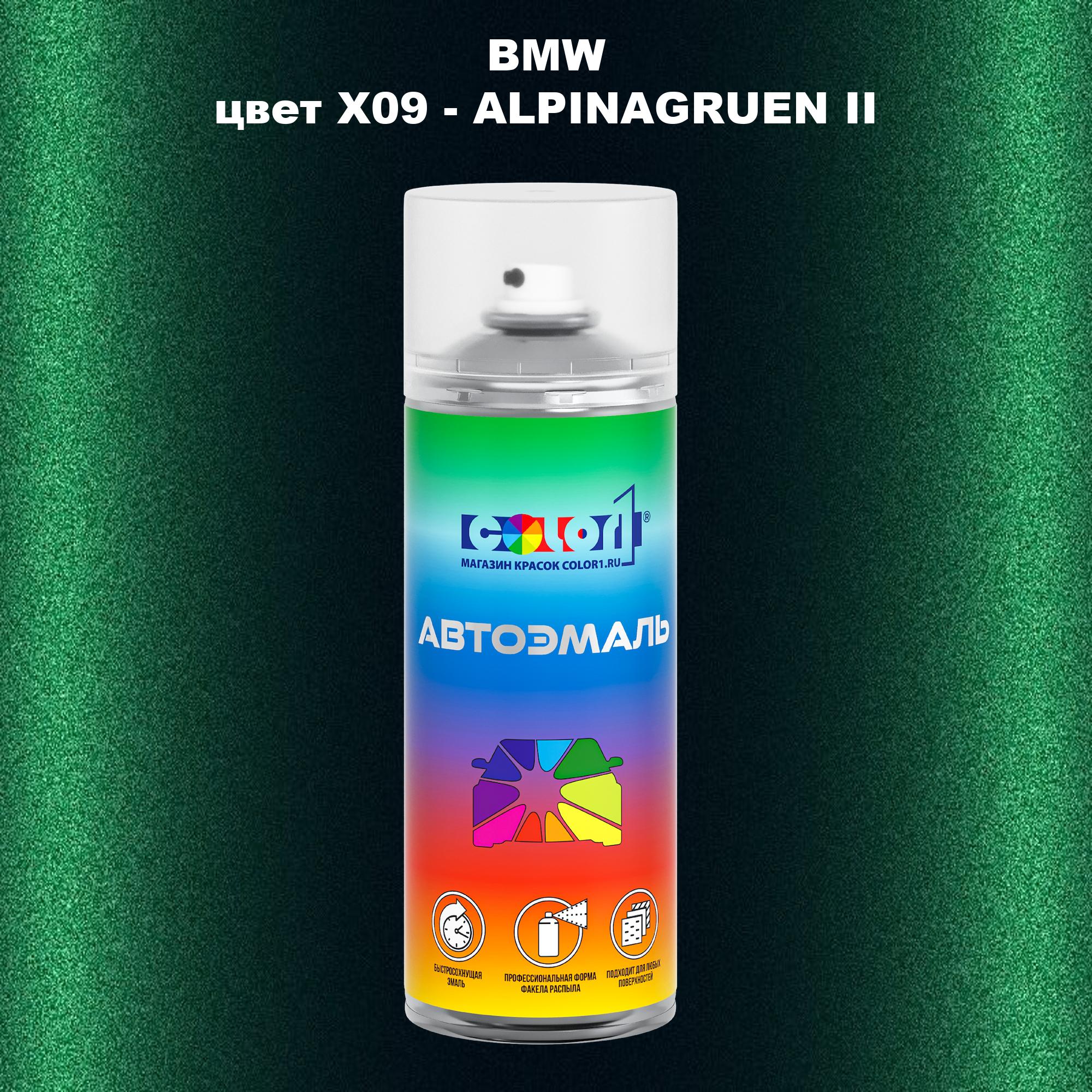 

Аэрозольная краска COLOR1 для BMW, цвет X09 - ALPINAGRUEN II, Прозрачный