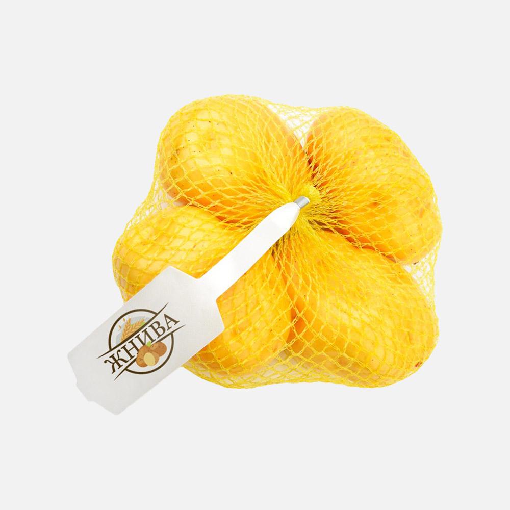 

Картофель Жнива фасованный, мытый, 1,5 кг