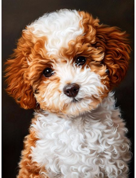 

Алмазная мозаика без подрамника Мальтипу, 40x30 см, 50 цветов, 83317, РА-716