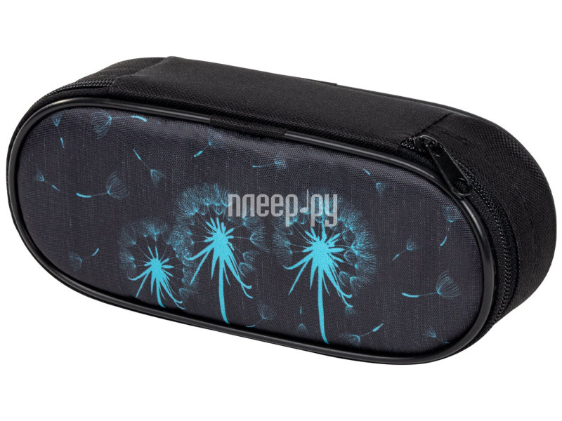 

Пенал Brauberg Dandelions 271032