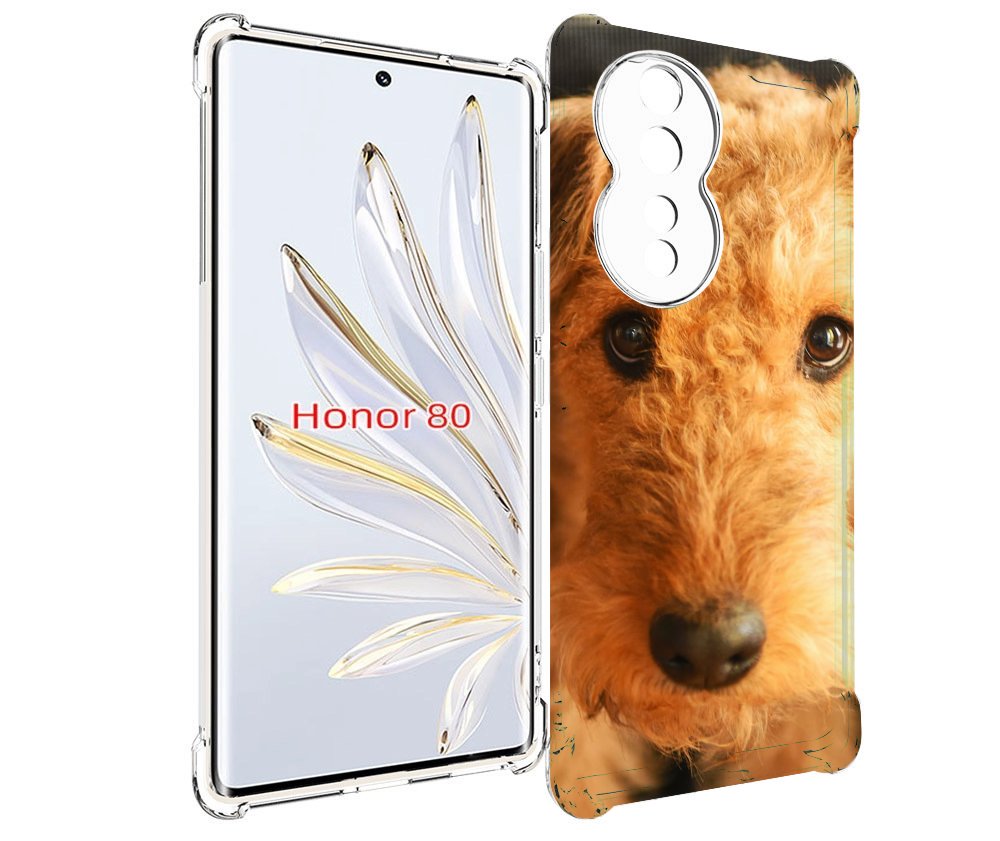 

Чехол MyPads эрдельтерьер для Honor 80, Прозрачный, Tocco