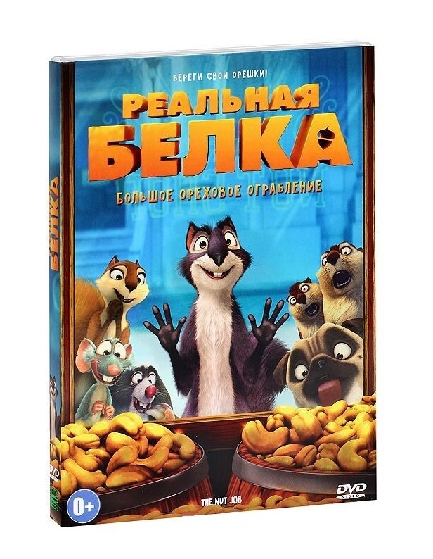 Реальная белка