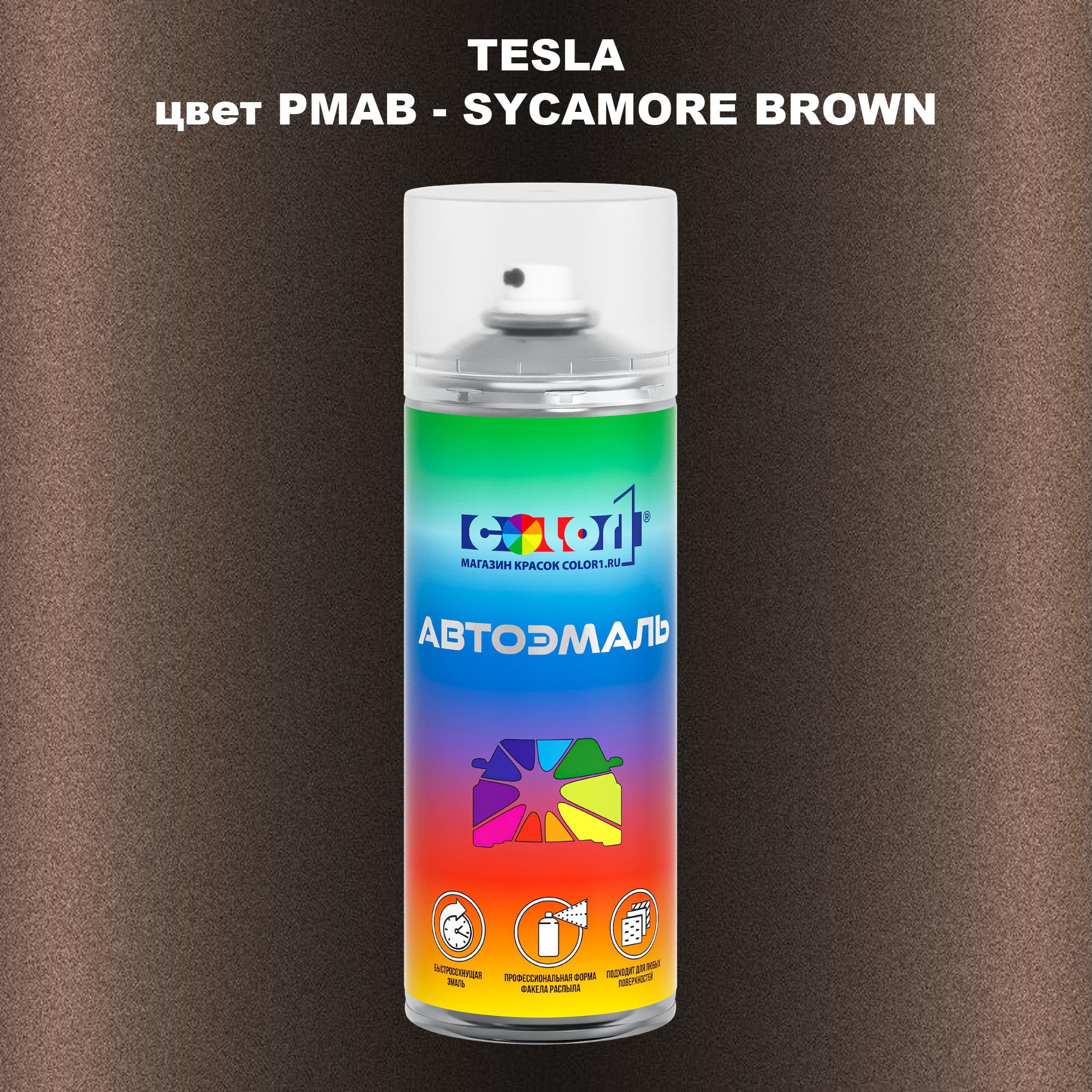 

Аэрозольная краска COLOR1 для TESLA, цвет PMAB - SYCAMORE BROWN, Прозрачный