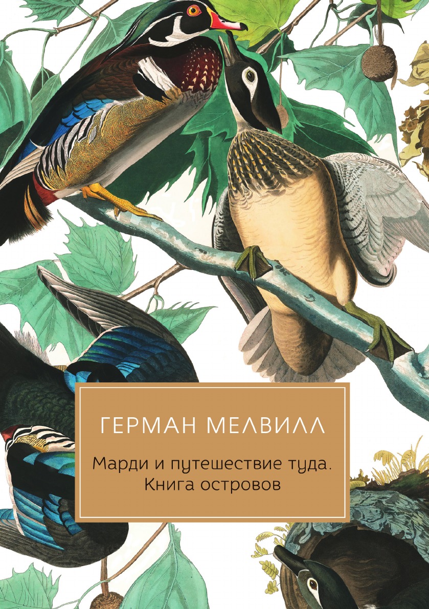 

Марди и путешествие туда