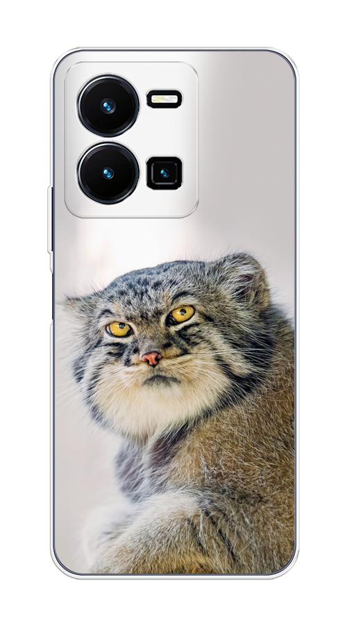 

Чехол на Vivo Y35 4G "Кот манул 1", Серый;белый;желтый, 267250-1