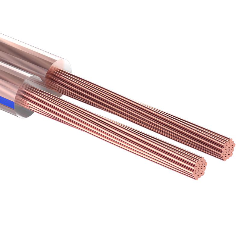

Кабель акустический Rexant 2х0,25 20м Transparent, Прозрачный