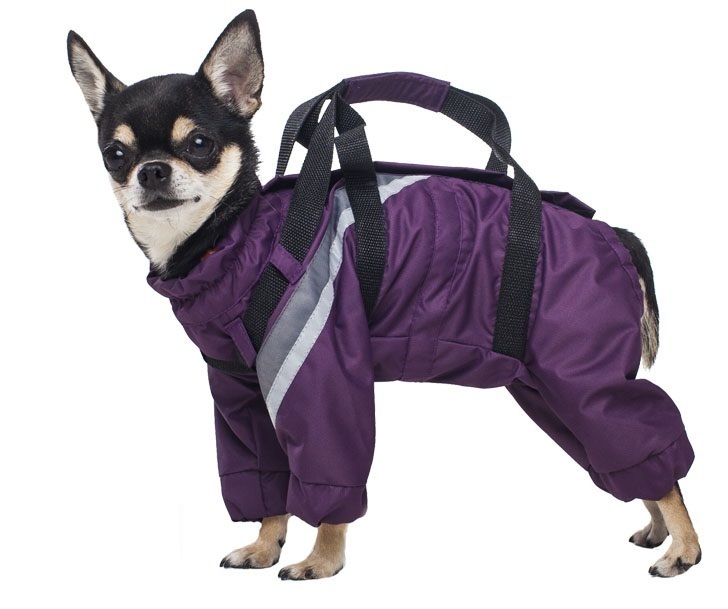 

Комбинезон ZooExpress DogVille, в ассортименте, светоотражающие полосы, зима, 25 см