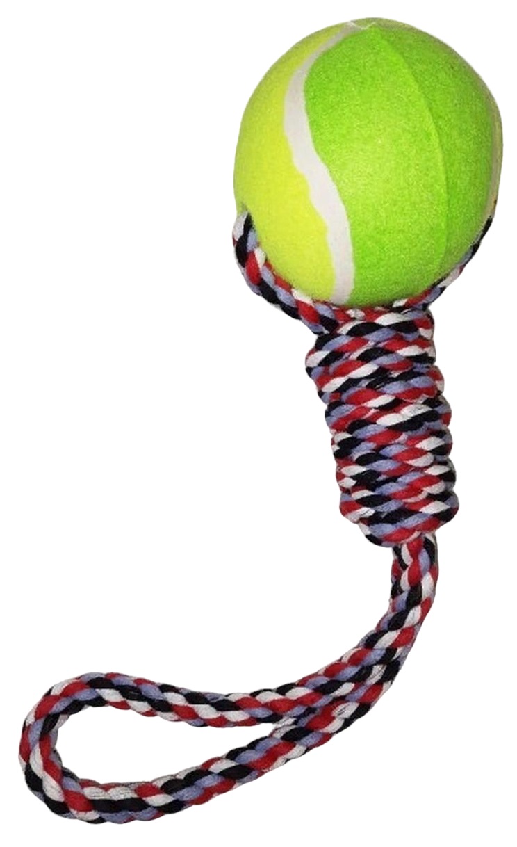 фото Игрушка для собак beroma "мяч на канате", цвет желто-зеленый, диаметр 10 см