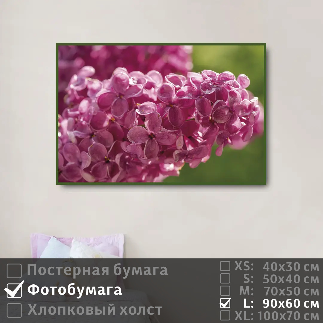 

Постер на фотобумаге ПолиЦентр Ветка сирени с каплями 90х60 см, ВеткаСирениСКаплями
