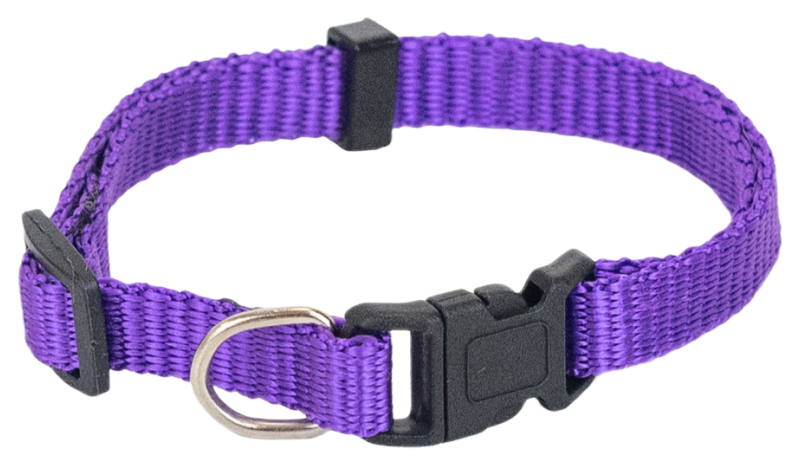 Ошейник для собак Дарэлл Sport синтетический, фиолетовый, 10 мм, 23-38 см