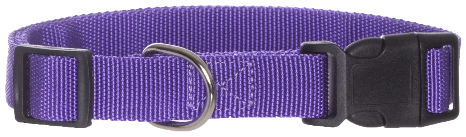 Ошейник для собак Yami-Yami Сити, фиолетовый, 20 мм, 30-43 см