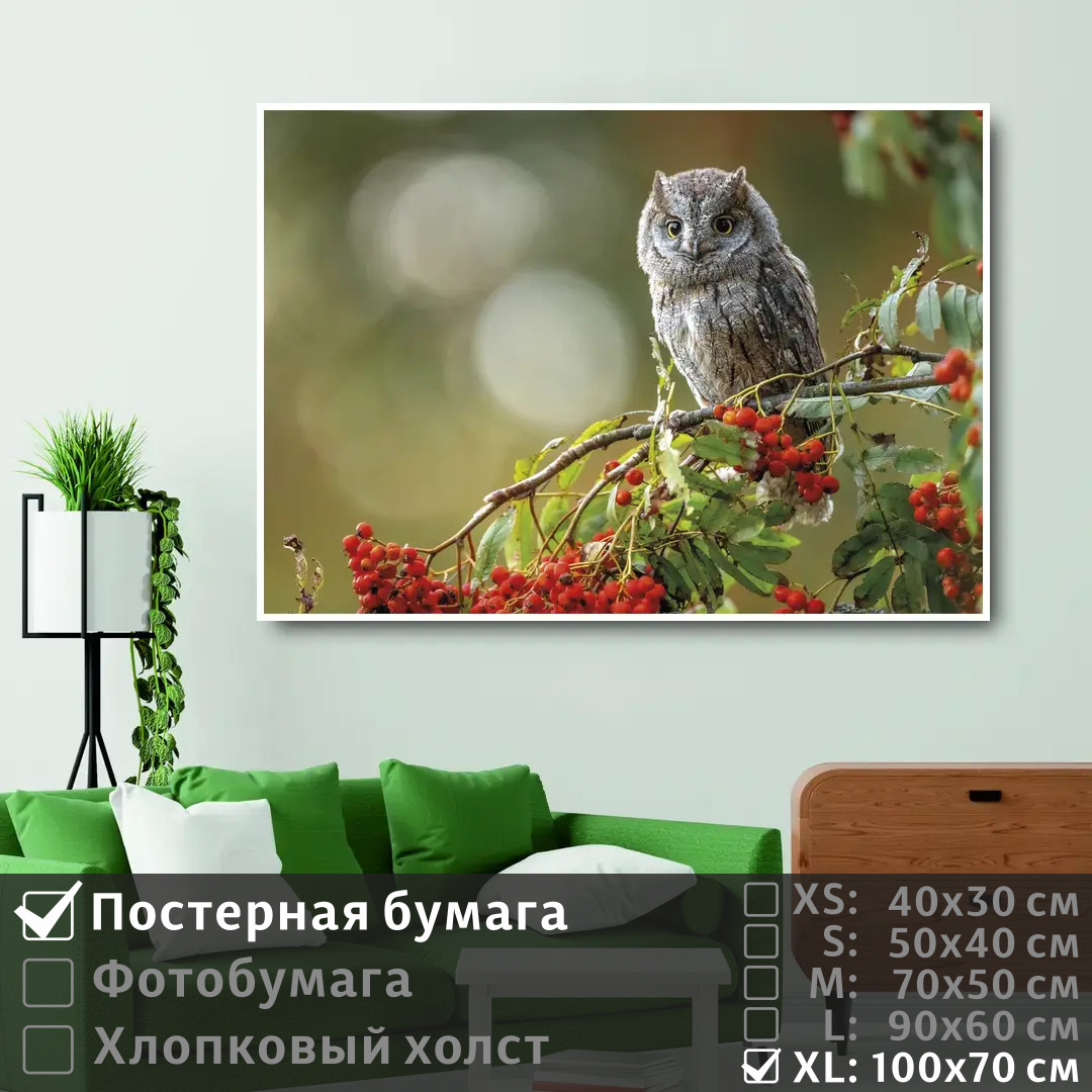 

Постер на стену ПолиЦентр Сова сидит на ветке красной рябины в лесу 100х70 см, СоваСидитНаВеткеКраснойРябиныВЛесу1