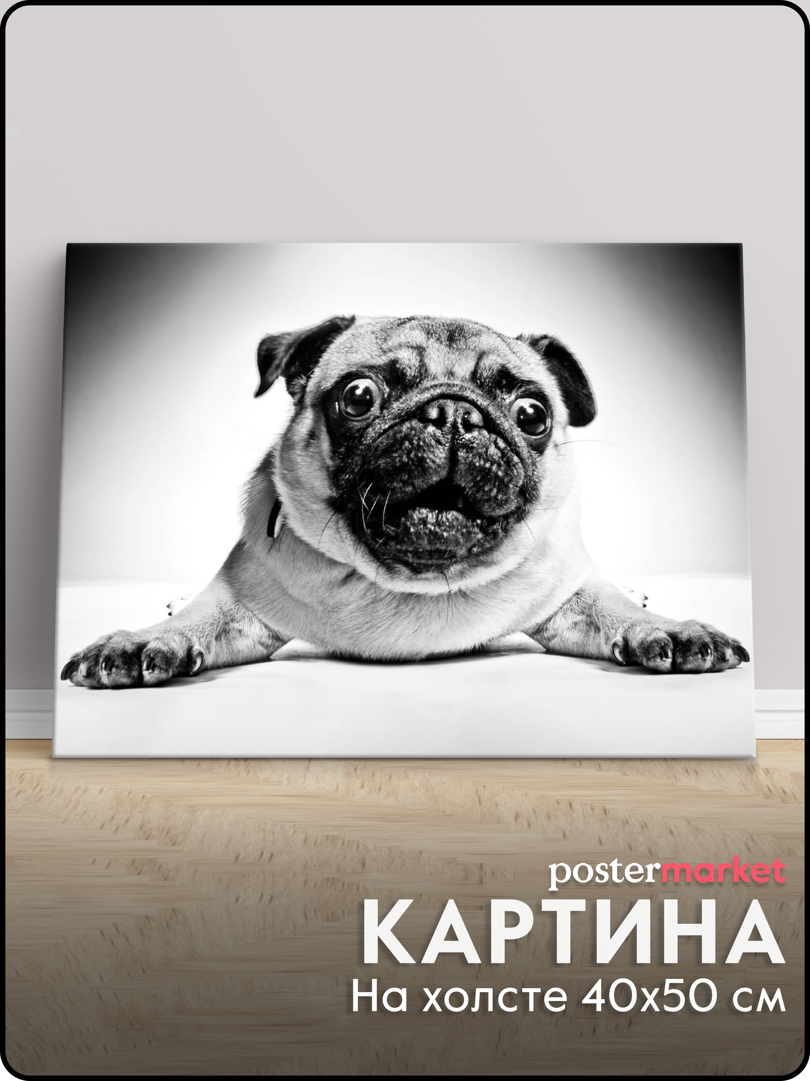 

Картина на холсте POSTermarket Мопс 40х50 см, CT3-129