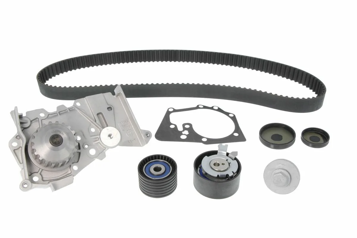 

Водяной насос + комплект зубчатого ремня SKF vkmc06021