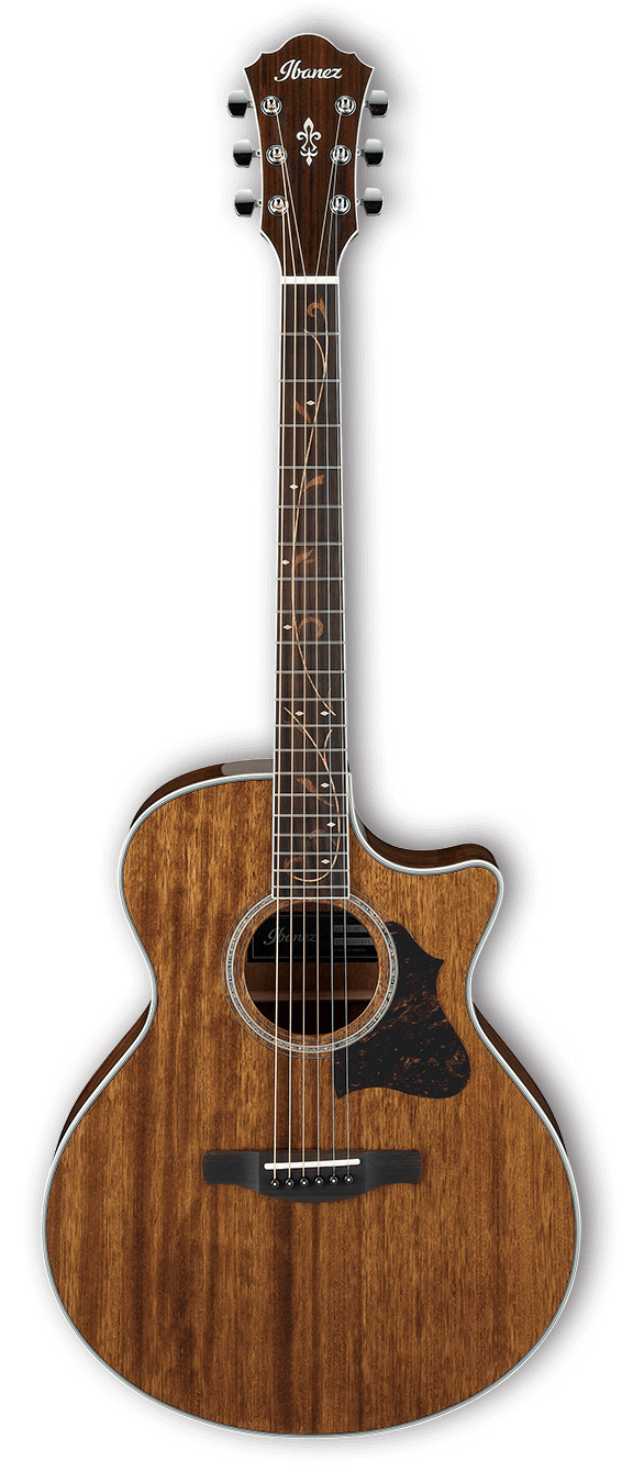 

Ibanez AE245-NT Natural