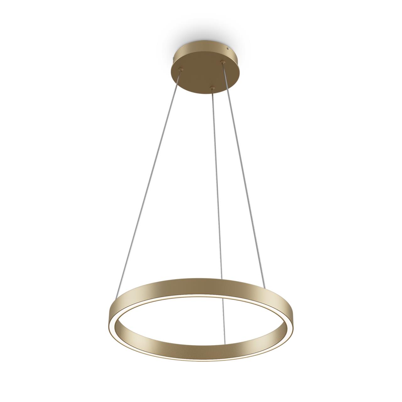 

Подвесной светильник Maytoni Rim MOD058PL-L22BSK 24 Вт LED IP 20
