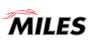 

MILES DAB0010 Пневмобаллон передний правый W166 DAB0010