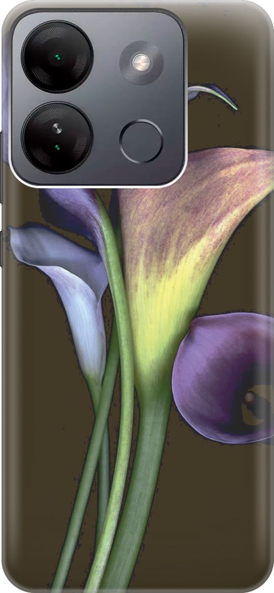 

Силиконовый чехол на Infinix Smart 7 HD "Каллы", Зеленый;коричневый, 159430