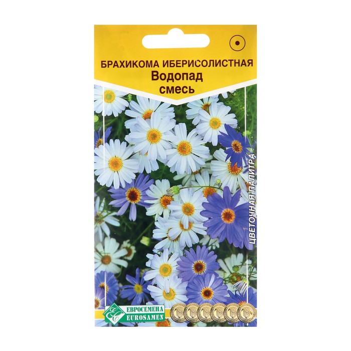 

Семена цветов Брахикома иберисолистная "Водопад" смесь, 0,05 г (3 шт.)