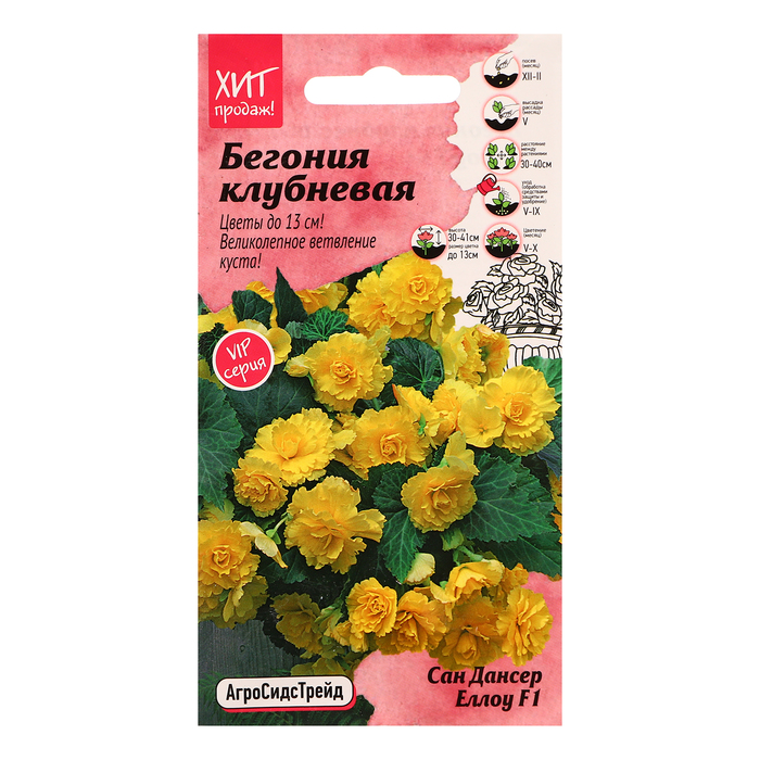 

Семена цветов Бегония клубневая "Сан дансер Еллоу", 5 шт (2 шт.)