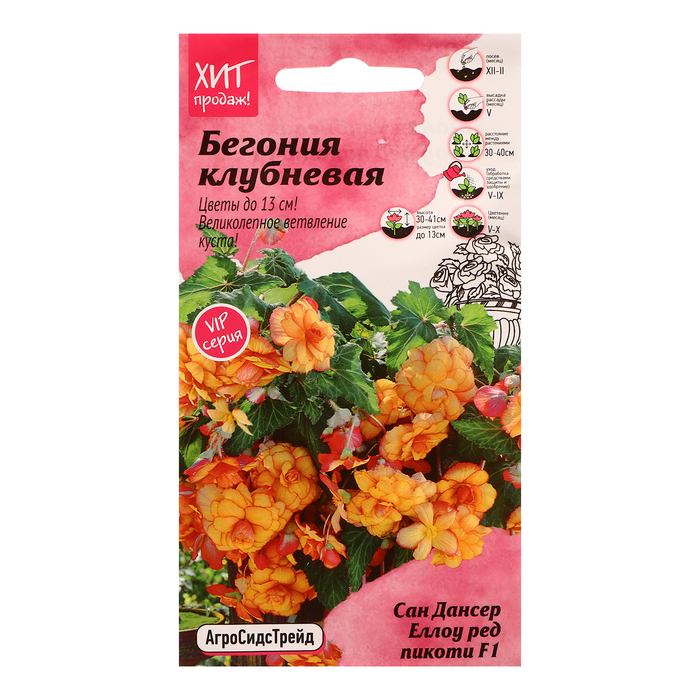 

Семена цветов Бегония клубневая "Сан дансер Еллоу ред пикоти", 5 шт (2 шт.)