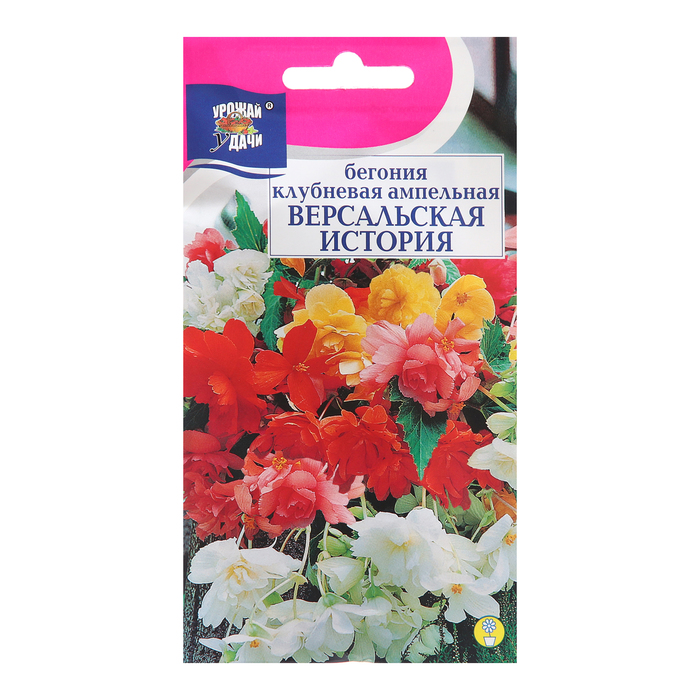 

Семена цветов Бегония "Версальская история", 10шт (2 шт.)