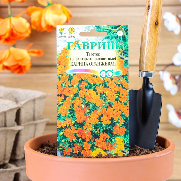

Семена цветов Бархатцы "Карина оранжевая ", тонколистные, 0,05 г