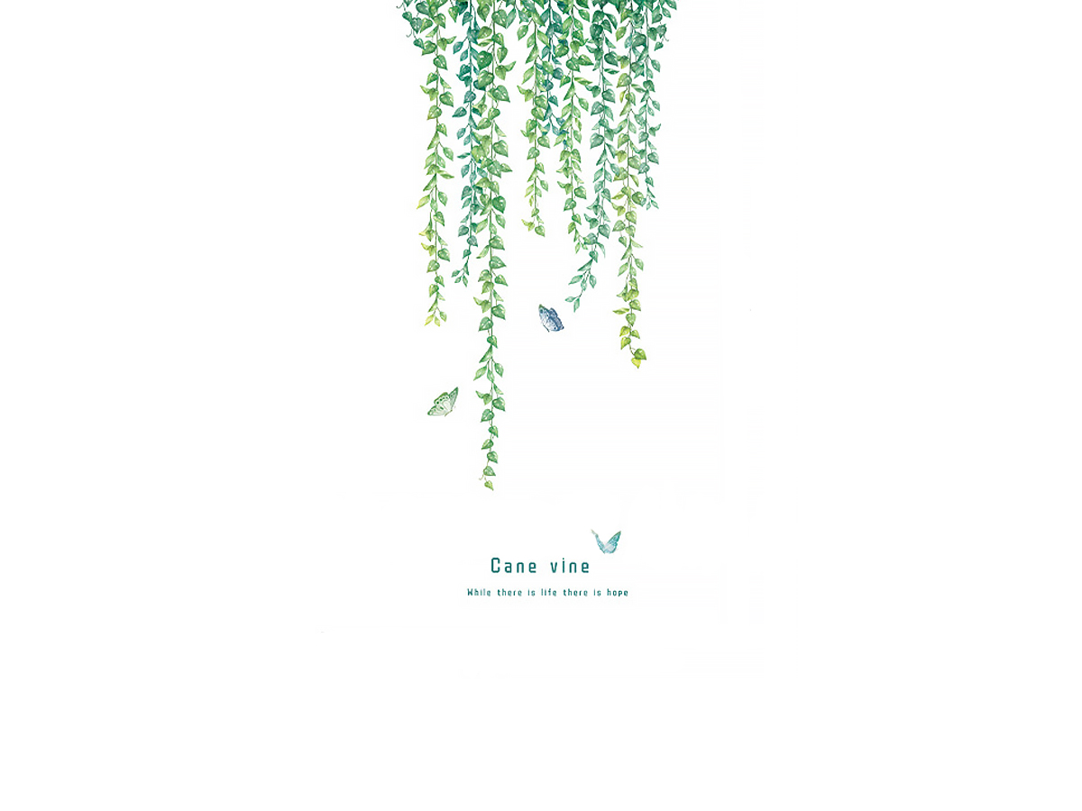 фото Интерьерная декоративная наклейка "лианы и бабочки", 63х134 см urm