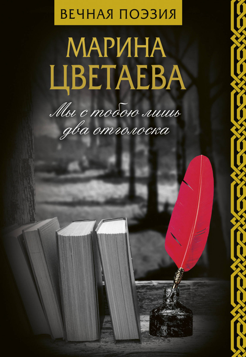 фото Книга мы с тобою лишь два отголоска аст