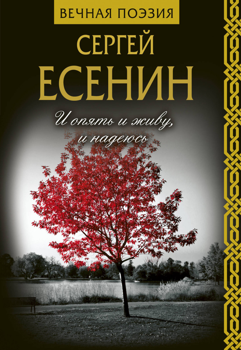 

Книга И опять и живу, и надеюсь