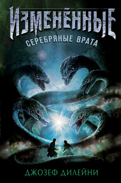 

Серебряные врата