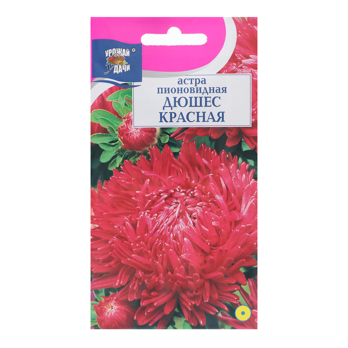 Семена цветов Астра пионовидная "Дюшес", Красная, 0,3 г (3 шт.) 100066631552