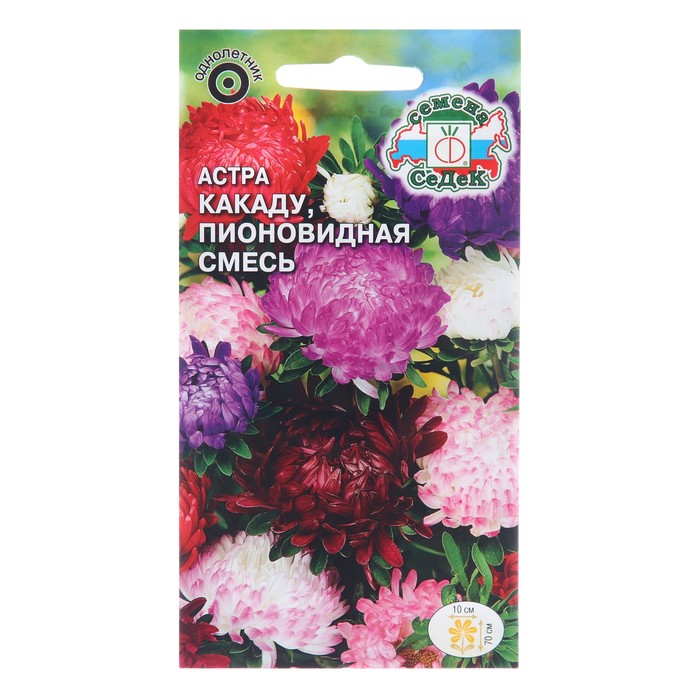 

Семена цветов Астра "Какаду", Евро, 0,2 (3 шт.)