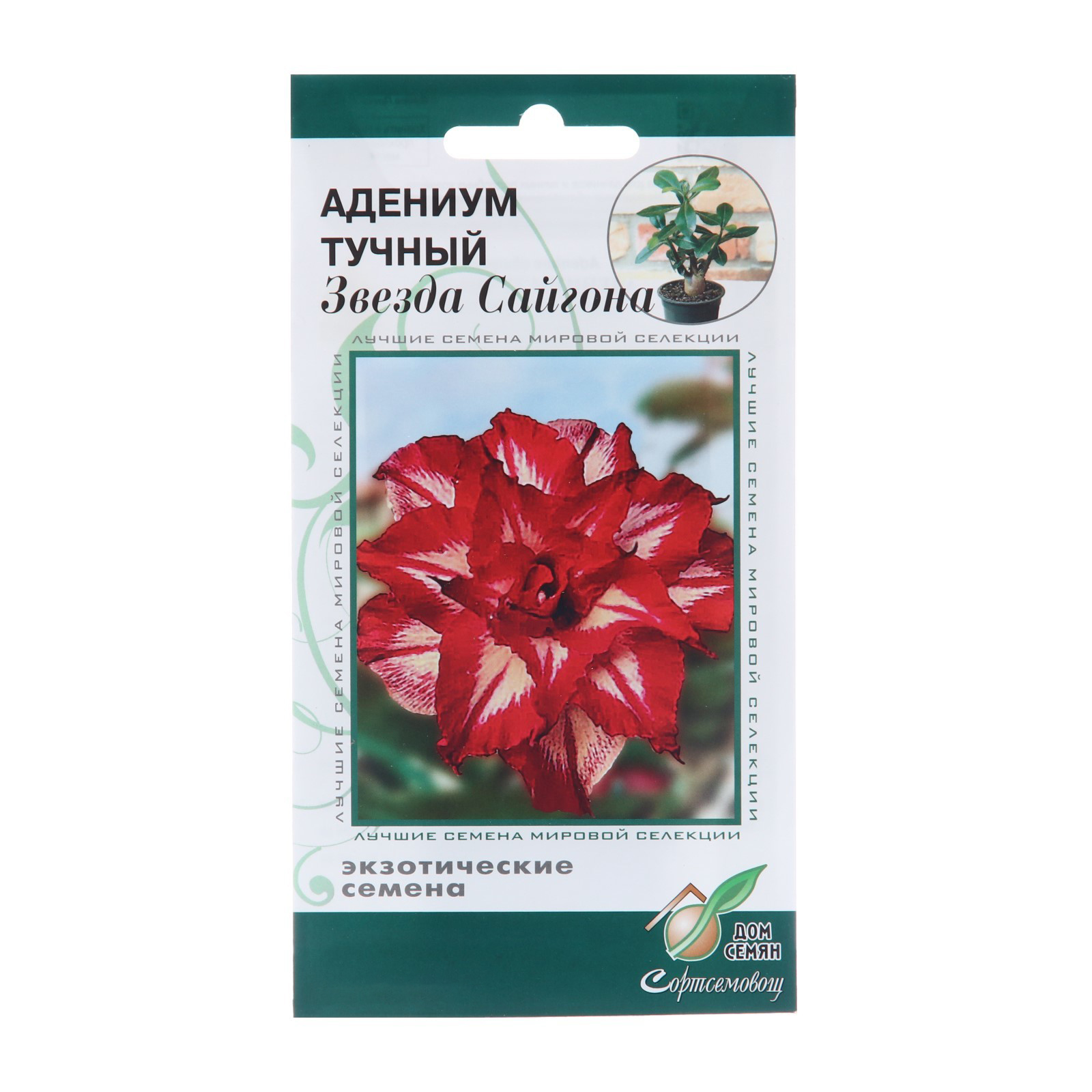 

Семена цветов Адениум тучный "Звезда Сайгона", 3 шт