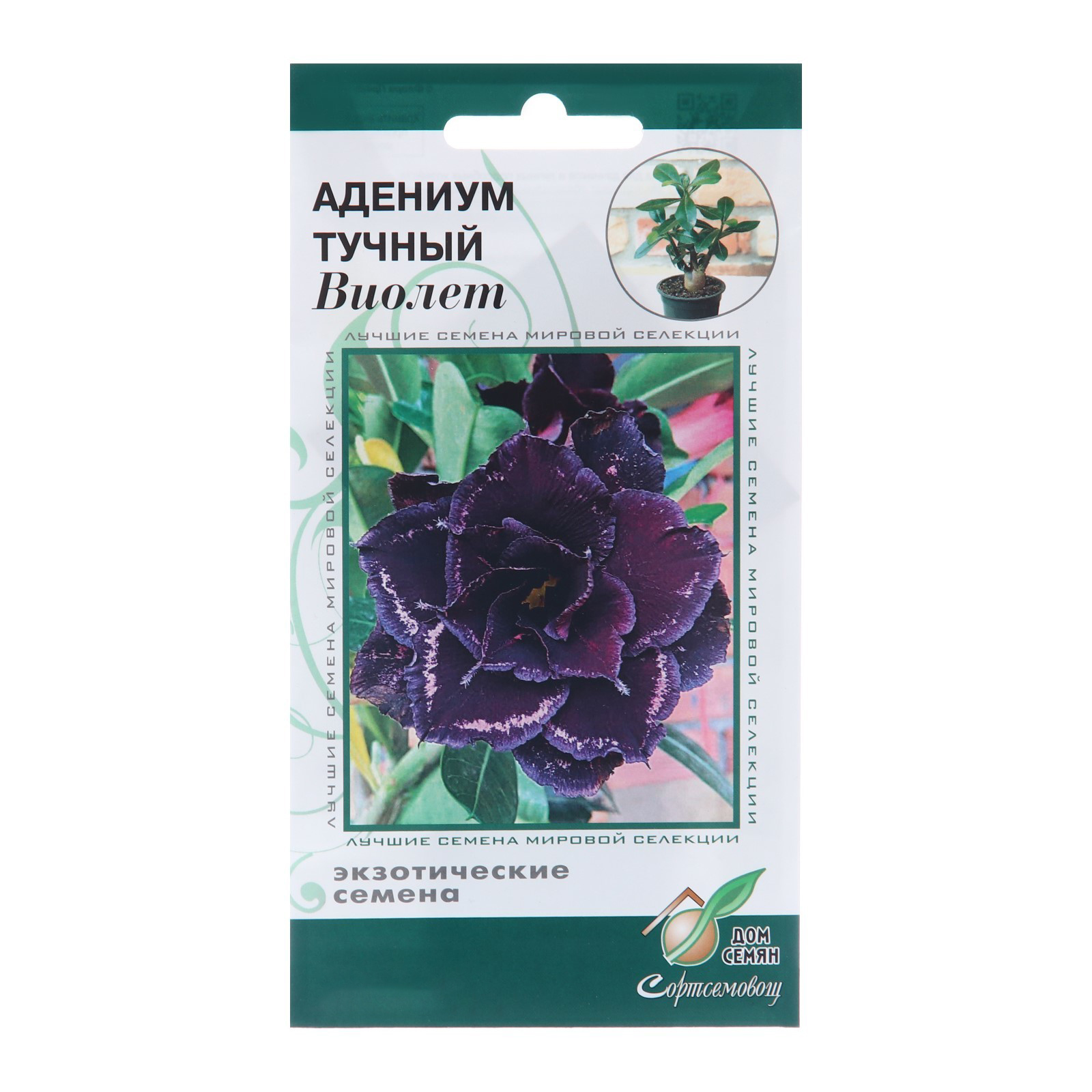 

Семена цветов Адениум тучный "Виолет", 3 шт